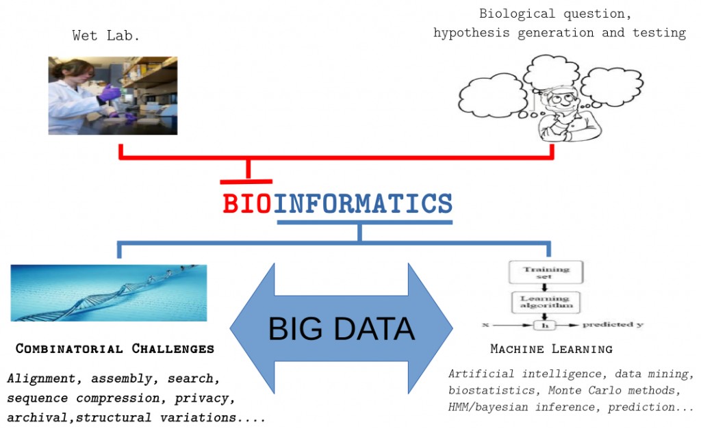 My_bioinformatics