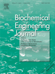 Biochemical Engineering Journal 