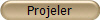 Projeler