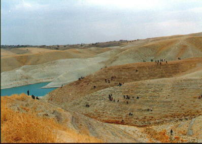 Samsat yresinde almalar
