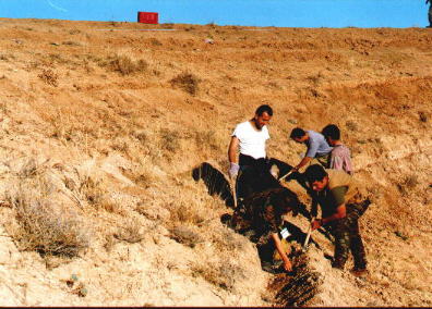 Samsat yresinden bir grnt