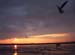 Resim_0031