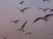 Resim_0048
