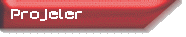Projeler
