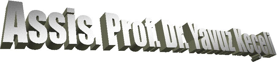 Assis. Prof. Dr. Yavuz Ke�eli