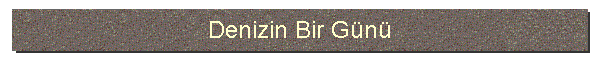 Denizin Bir Gn