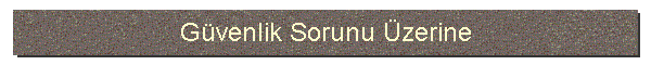 Gvenlik Sorunu zerine