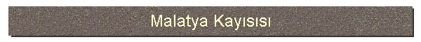 Malatya Kayss