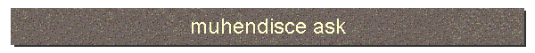 muhendisce ask