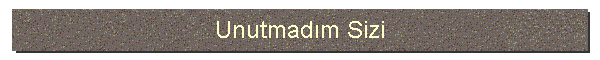Unutmadm Sizi