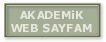 akademik.jpg (7600 bytes)