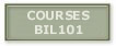 bil101.jpg (6951 bytes)