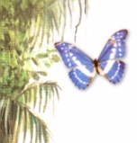 img1.jpg