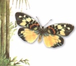 img2.jpg