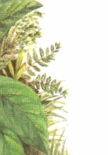 img3.jpg