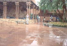 fas2.JPG (14378 bytes)